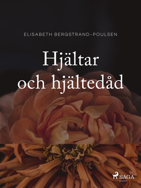 Hjältar och hjältedåd (e-bok) av Elisabeth Berg