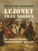 Lejonet från Norden : en roman kring Trettioåriga kriget