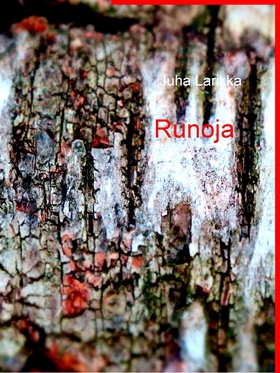 RUNOJA (e-bok) av Juha Larikka