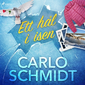 Ett hål i isen (ljudbok) av Carlo Schmidt