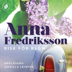 Risk för regn (ljudbok) av Anna Fredriksson
