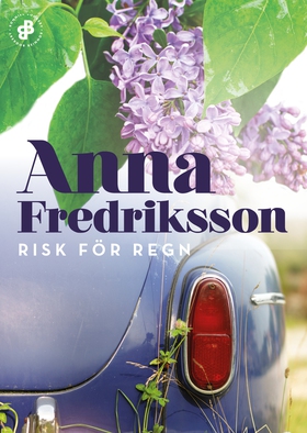 Risk för regn (e-bok) av Anna Fredriksson