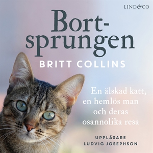 Bortsprungen: En älskad katt, en hemlös man och