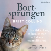 Bortsprungen : en älskad katt, en hemlös man och deras osannolika resa