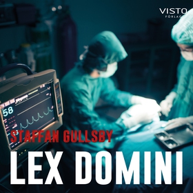 Lex Domini (ljudbok) av Staffan Gullsby