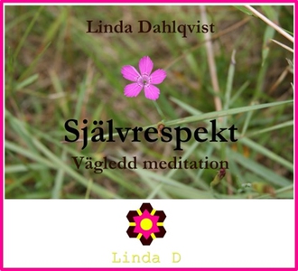 Självrespekt - vägledd meditation (ljudbok) av