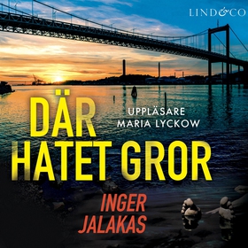 Där hatet gror (ljudbok) av Inger Jalakas