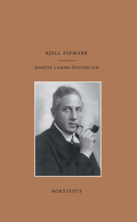 Martin Lamms ögonblick (e-bok) av Kjell Espmark