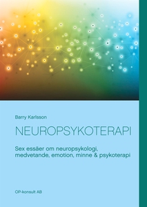 Neuropsykoterapi: Sex essäer om neuropsykologi,