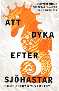Att dyka efter sjöhästar : Hur vårt minne funge