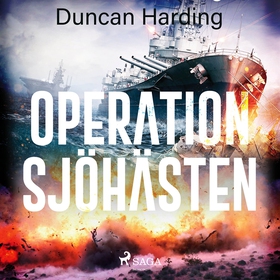 Operation sjöhästen (ljudbok) av Duncan Harding