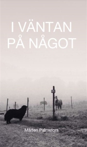 I väntan på något (e-bok) av Mårten Palmefors