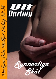 Synnerliga skäl (e-bok) av Ulf Durling