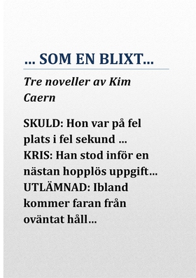 …SOM EN BLIXT… (e-bok) av Kim Caern, John Caern
