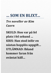 ...SOM EN BLIXT... (e-bok) av Kim Caern, John C