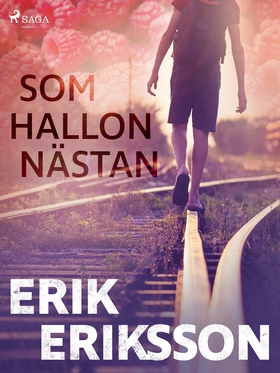 Som hallon nästan (e-bok) av Erik Eriksson