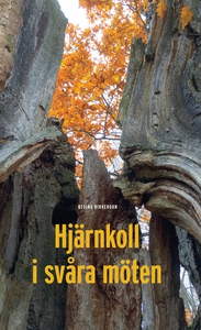 Hjärnkoll i svåra möten (e-bok) av Regina Birke