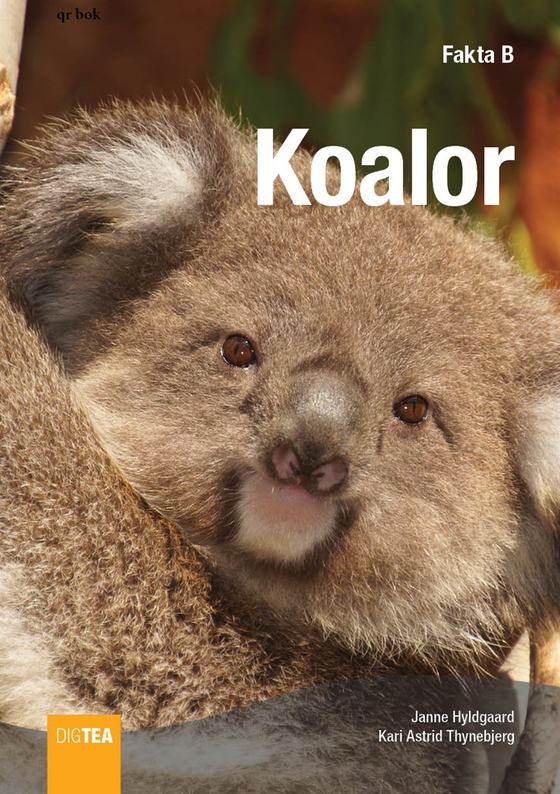 Koalor