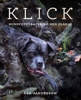 KLICK - hundfotografering med glädje (e-bok) av