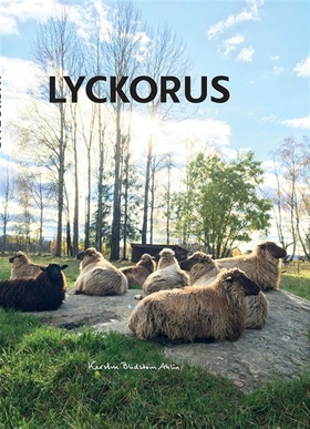Lyckorus (ljudbok) av Kerstin Blidstam Ahlin, S