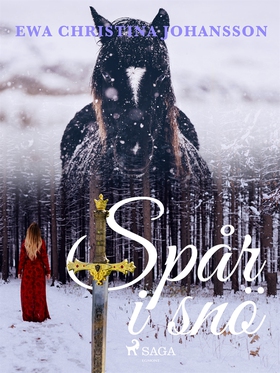 Spår i snö (e-bok) av Ewa Christina Johansson
