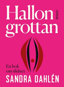 Hallongrottan: en bok om slidsex (ljudbok) av S