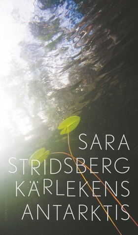 Kärlekens Antarktis (e-bok) av Sara Stridsberg