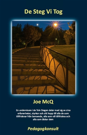 De Steg Vi Tog (e-bok) av Joe McQ