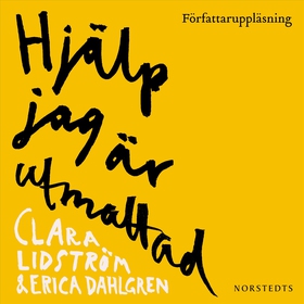 Hjälp jag är utmattad (ljudbok) av Clara Lidstr