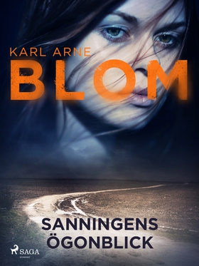Sanningens ögonblick (e-bok) av Karl Arne Blom