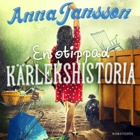 En otippad kärlekshistoria (ljudbok) av Anna Ja