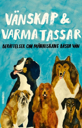 Vänskap & varma tassar : berättelser om människ