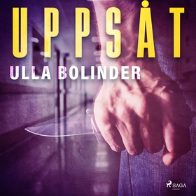 Uppsåt (ljudbok) av Ulla Bolinder