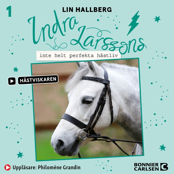 Indra Larssons inte helt perfekta hästliv (ljudbok) av Lin Hallberg