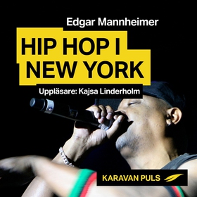 Hiphop i New York (ljudbok) av Edgar Mannheimer