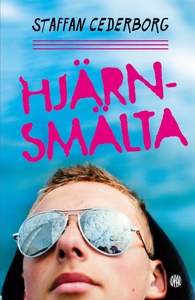 Hjärnsmälta (e-bok) av Staffan Cederborg