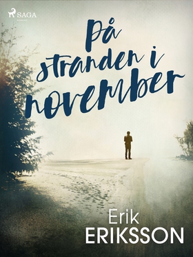På stranden i november (e-bok) av Erik Eriksson