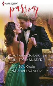 Din i tre månader/När livet vänder (e-bok) av K
