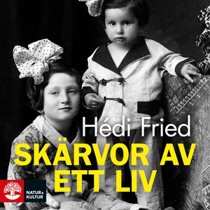 Skärvor av ett liv : vägen till och från Auschw