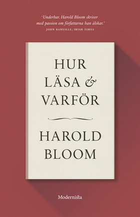 Hur läsa och varför (e-bok) av Harold Bloom