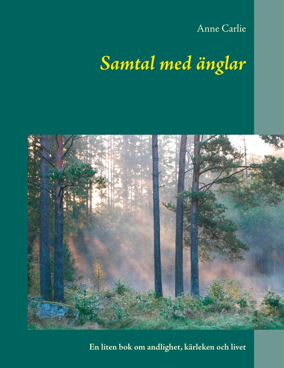 Samtal med änglar: En liten bok om andlighet, kärleken och livet (e-bok) av Anne Carlie