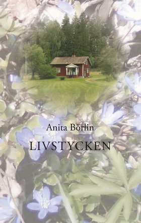Livstycken (e-bok) av Anita Börlin