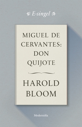 Miguel de Cervantes: Don Quijote (e-bok) av Har