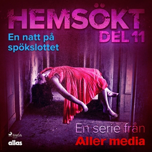 En natt på spökslottet (ljudbok) av Allas Hemsö