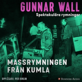 Massrymningen från Kumla (ljudbok) av Gunnar Wa