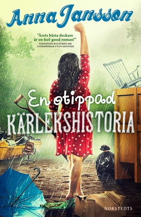 En otippad kärlekshistoria (e-bok) av Anna Jans