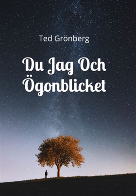 Du Jag Och Ögonblicket (e-bok) av Ted Grönberg