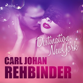 Destination New York (ljudbok) av Carl Johan Re