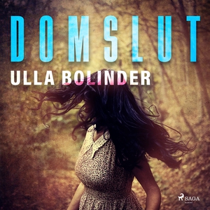 Domslut (ljudbok) av Ulla Bolinder