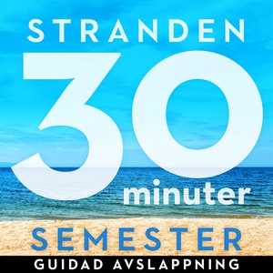 30 minuter semester- STRANDEN (ljudbok) av Ola